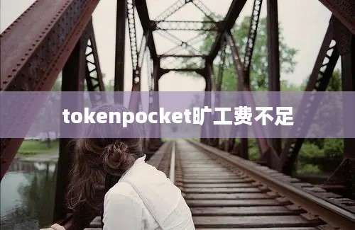 tokenpocket旷工费不足
