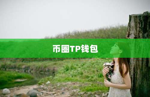 币圈TP钱包
