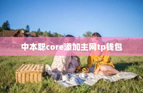中本聪core添加主网tp钱包