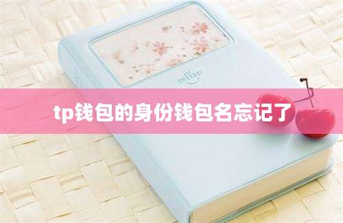 tp钱包的身份钱包名忘记了