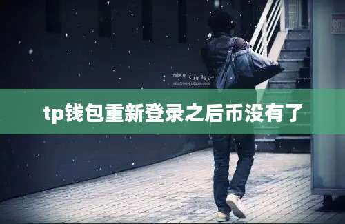 tp钱包重新登录之后币没有了
