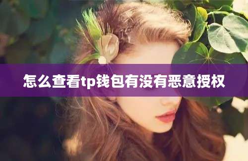 怎么查看tp钱包有没有恶意授权