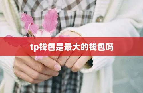 tp钱包是最大的钱包吗
