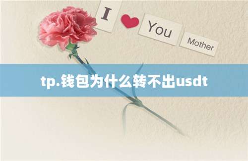 tp.钱包为什么转不出usdt