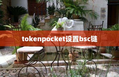 tokenpocket设置bsc链