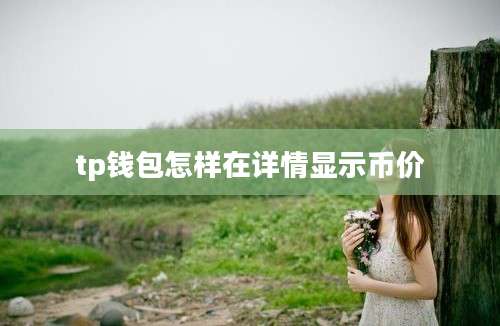tp钱包怎样在详情显示币价
