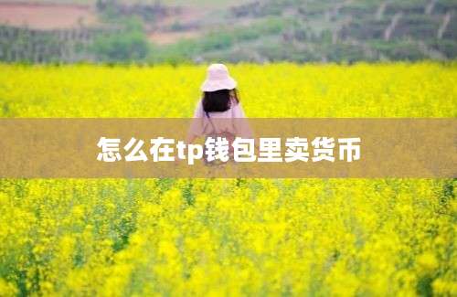 怎么在tp钱包里卖货币