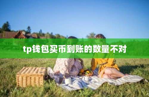 tp钱包买币到账的数量不对