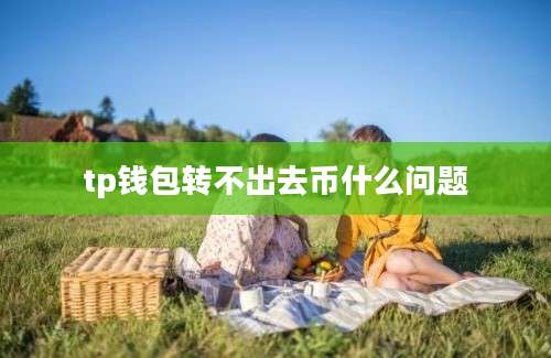 tp钱包转不出去币什么问题