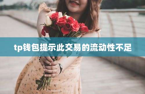 tp钱包提示此交易的流动性不足