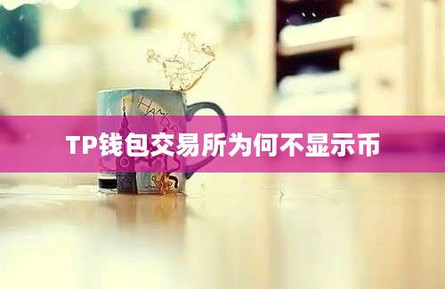 TP钱包交易所为何不显示币