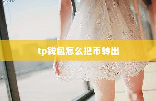 tp钱包怎么把币转出