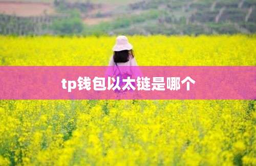 tp钱包以太链是哪个