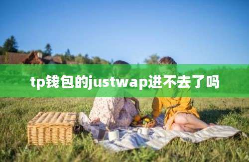 tp钱包的justwap进不去了吗