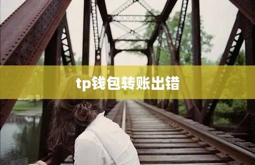 tp钱包转账出错