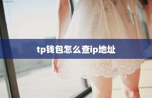 tp钱包怎么查ip地址