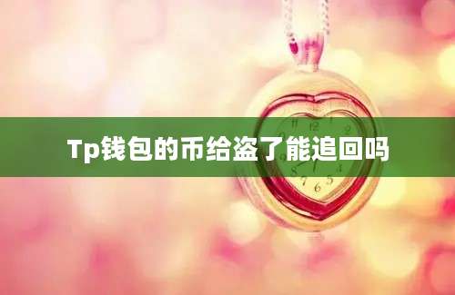 Tp钱包的币给盗了能追回吗