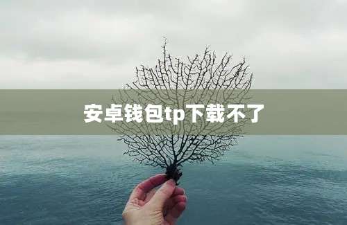安卓钱包tp下载不了