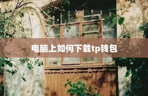 电脑上如何下载tp钱包