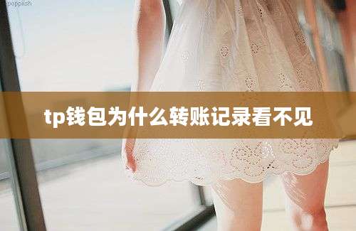 tp钱包为什么转账记录看不见