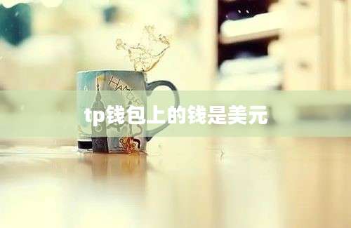 tp钱包上的钱是美元
