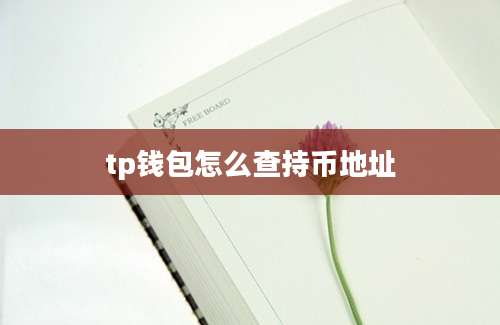 tp钱包怎么查持币地址