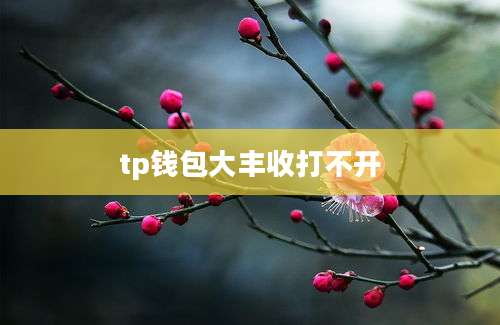 tp钱包大丰收打不开