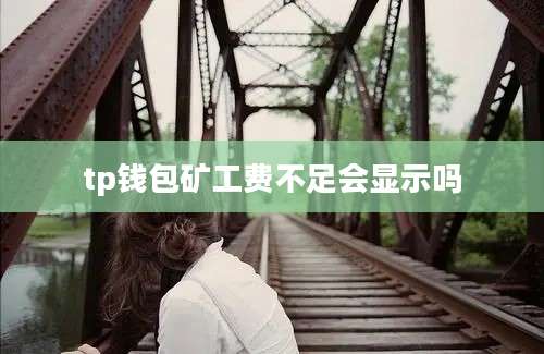 tp钱包矿工费不足会显示吗