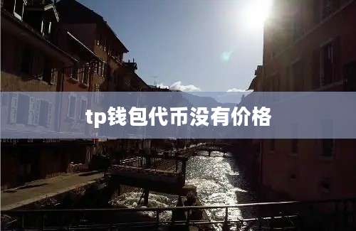 tp钱包代币没有价格