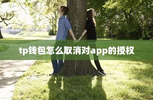 tp钱包怎么取消对app的授权