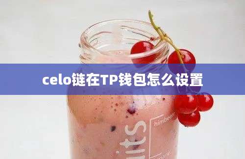 celo链在TP钱包怎么设置