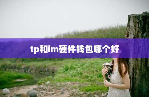 tp和im硬件钱包哪个好