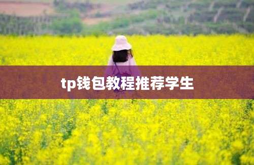 tp钱包教程推荐学生