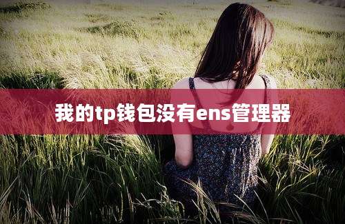 我的tp钱包没有ens管理器