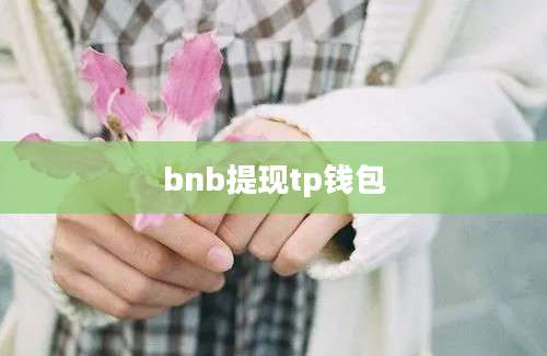 bnb提现tp钱包
