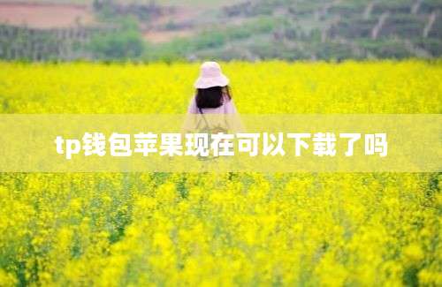 tp钱包苹果现在可以下载了吗