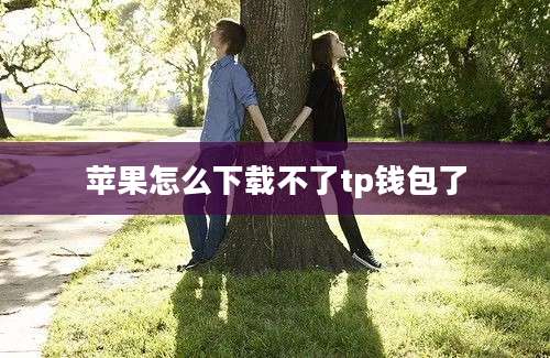 苹果怎么下载不了tp钱包了