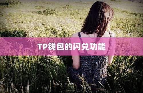 TP钱包的闪兑功能