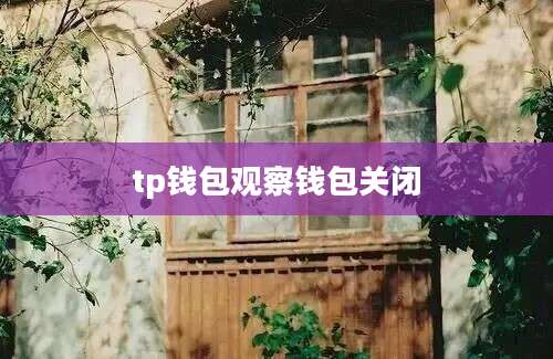 tp钱包观察钱包关闭