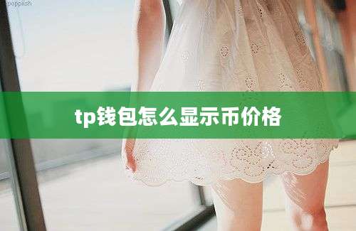 tp钱包怎么显示币价格