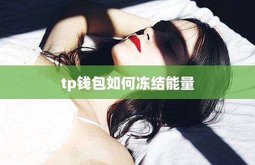 tp钱包如何冻结能量