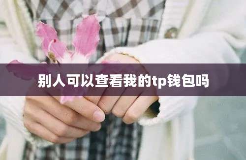 别人可以查看我的tp钱包吗