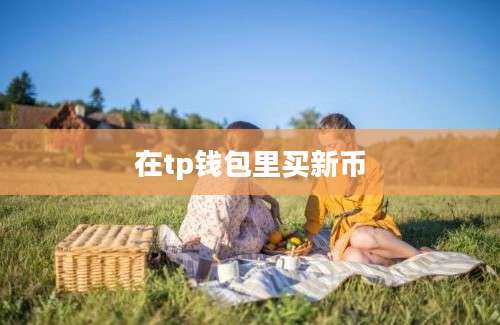 在tp钱包里买新币
