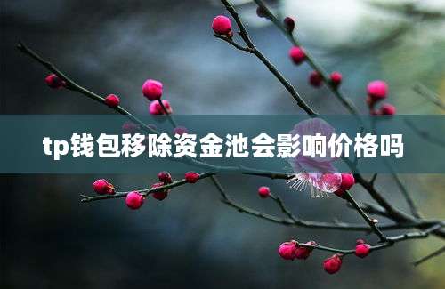 tp钱包移除资金池会影响价格吗