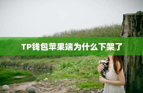 TP钱包苹果端为什么下架了