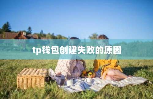 tp钱包创建失败的原因