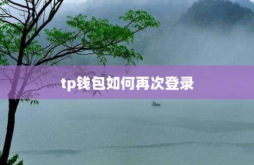 tp钱包如何再次登录