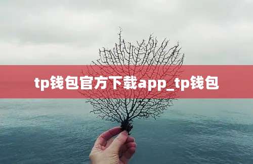 tp钱包官方下载app_tp钱包