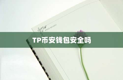 TP币安钱包安全吗