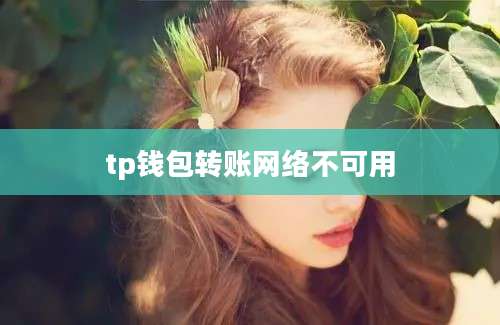 tp钱包转账网络不可用